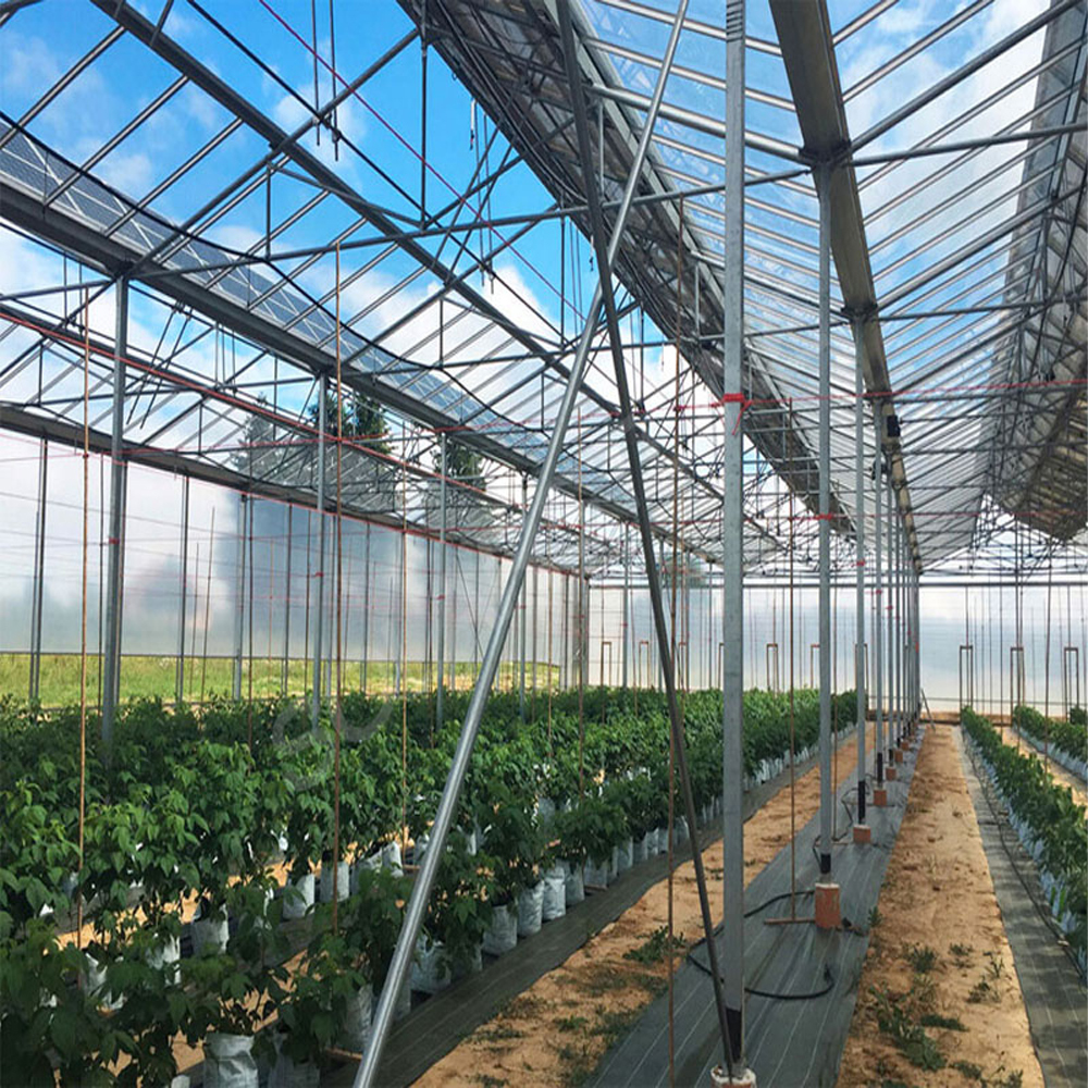 Harnessing Solar Energy for Sustainable Power Generation: A Comprehensive Solar Case Study