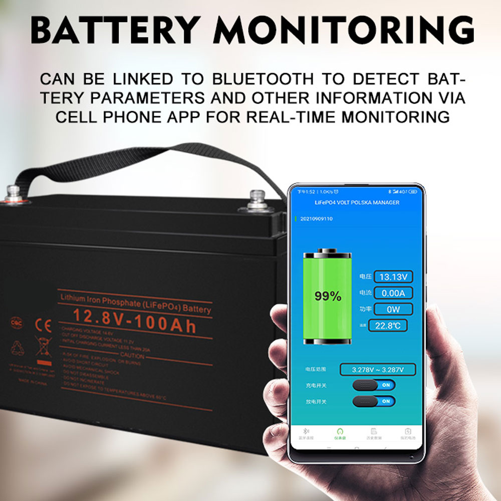 12V 100AH Lithium Iron Phosphate Lifepo4 Battery