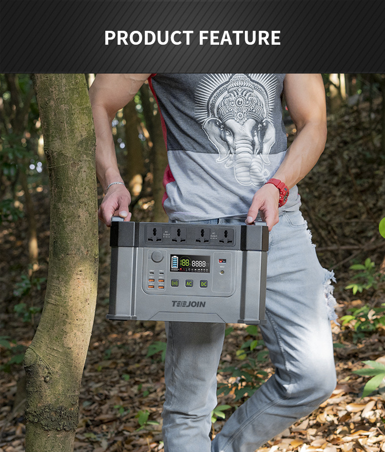 2KW Lithium Battery Power bank Station 110V 220V 