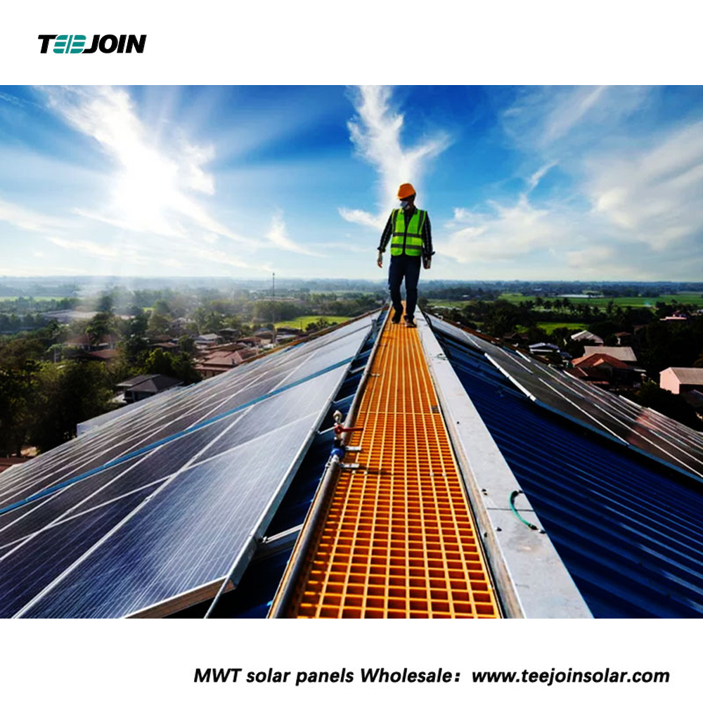 Renewable energy will be the main source of electricity by 2025