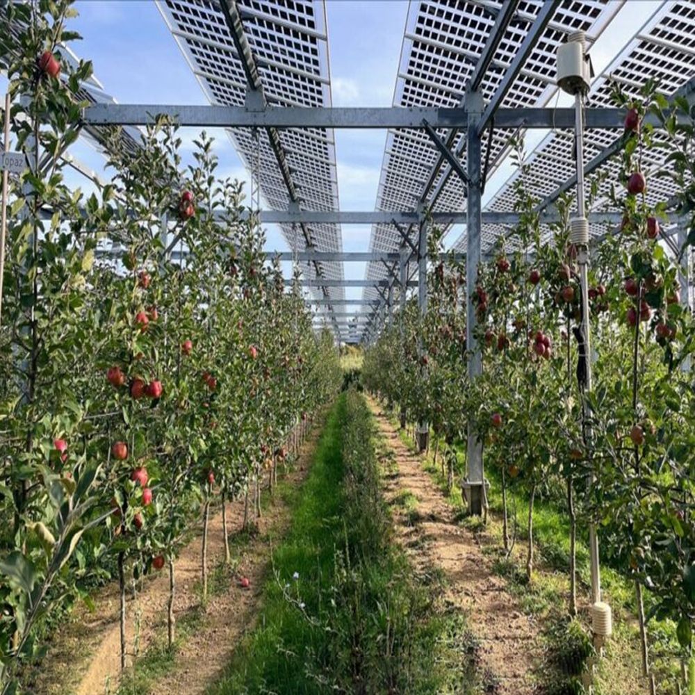 BayWare begins construction of agricultural power project in France