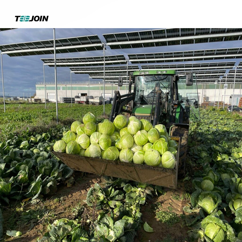 European Union seeks to simplify agricultural PV design